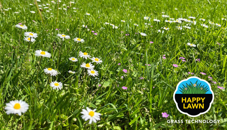 Happy Lawn 4