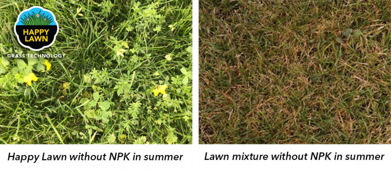 Happy Lawn 5