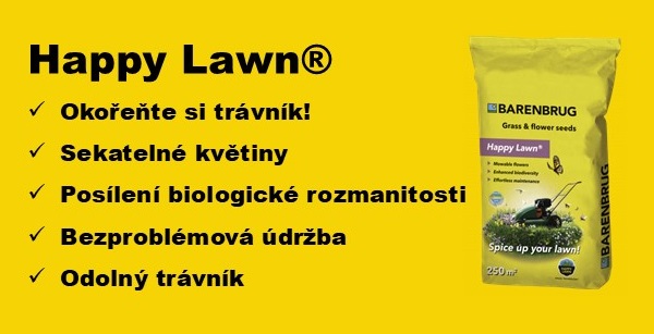 Happy Lawn 6