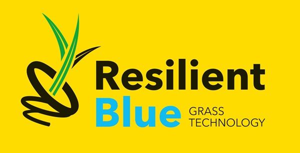 Resilient Blue Sport